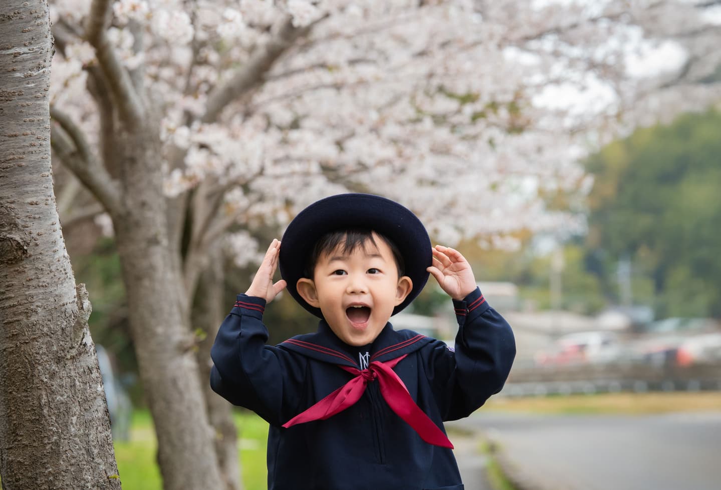 入園 桜ロケ
